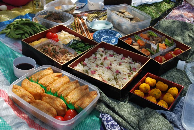 cách ngắm hoa hanami như người nhật bản